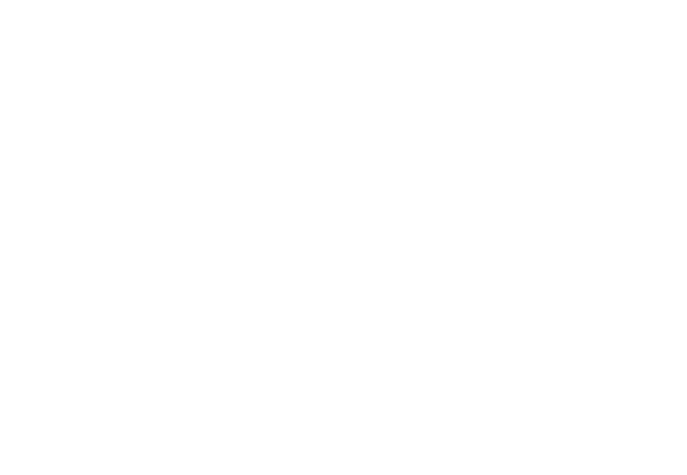 Dillon Rifle Company